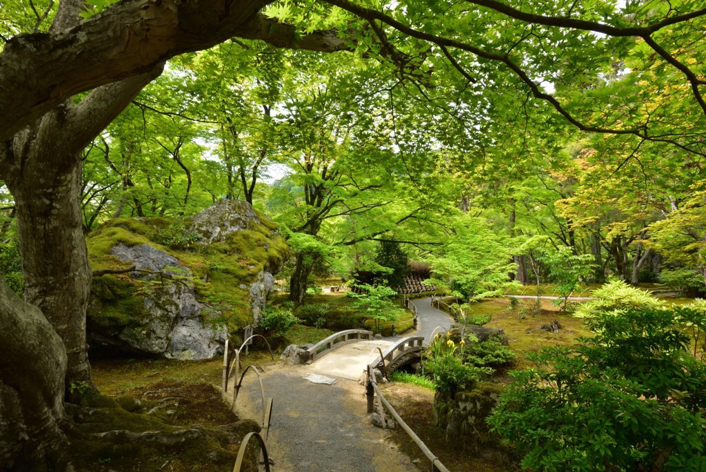 宝厳院2374814