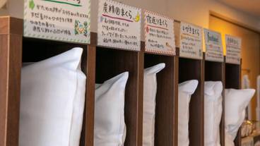 客室の設備とサービス / 14