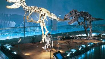 施設からの眺望 / 22