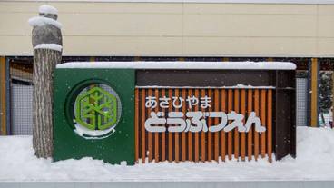 子供向けアクティビティ / 6