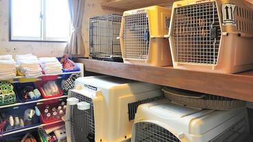 ペット同伴可 / 5