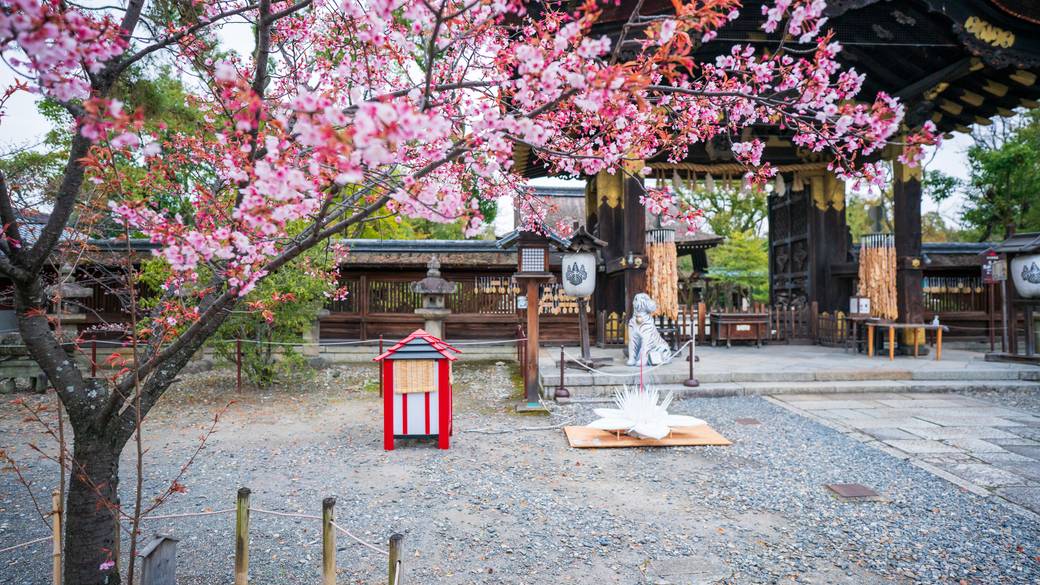 豊臣秀吉を祀る豊国神社 / 4