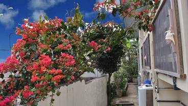 ランドリー ルーム / 4