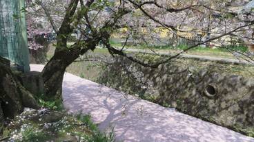 観光スポット / 3