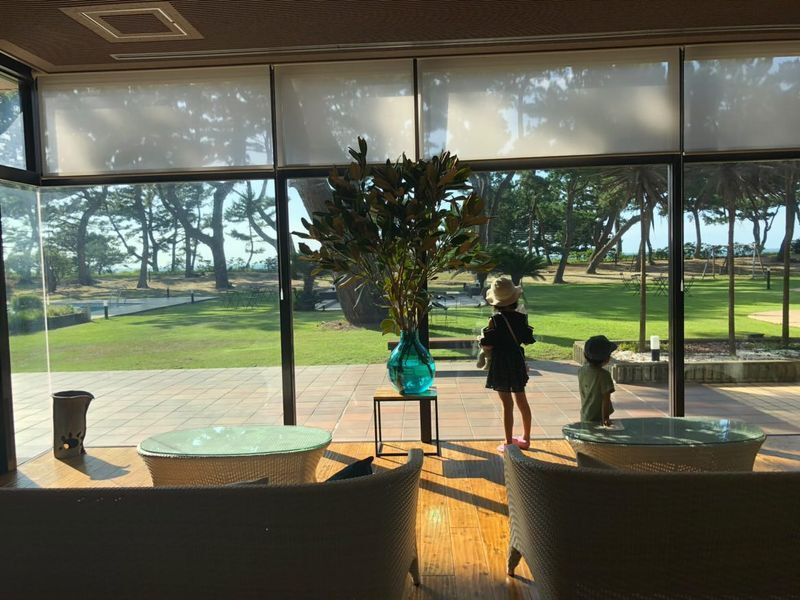 marie_kansaitripさんの写真 / 1