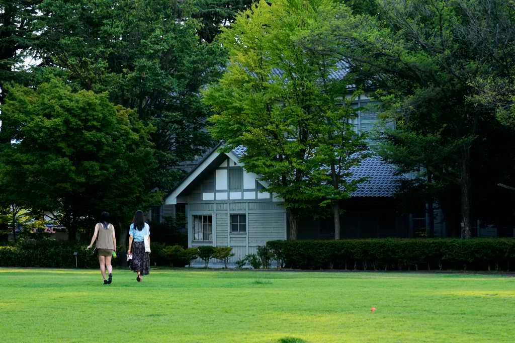 新緑が輝く「あがたの森公園」1070374