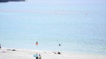 ランド ビュー / 37