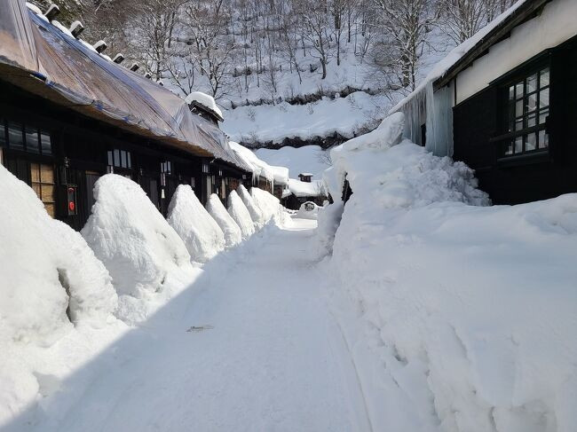 入口からの風景