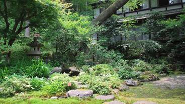 施設からの眺望 / 37