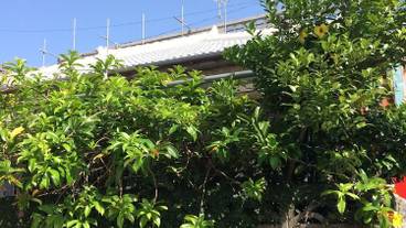 施設の入り口 / 16