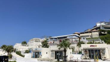 観光スポット / 7