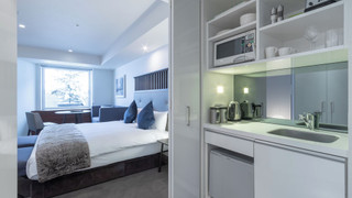 スーペリアホテルルーム(半地下階)