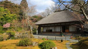 円通院 本堂 / 4