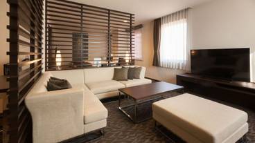 プレミアクイーンスイート(2) / 11