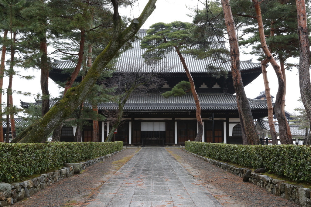 室町幕府を感じられる「相国寺」901670