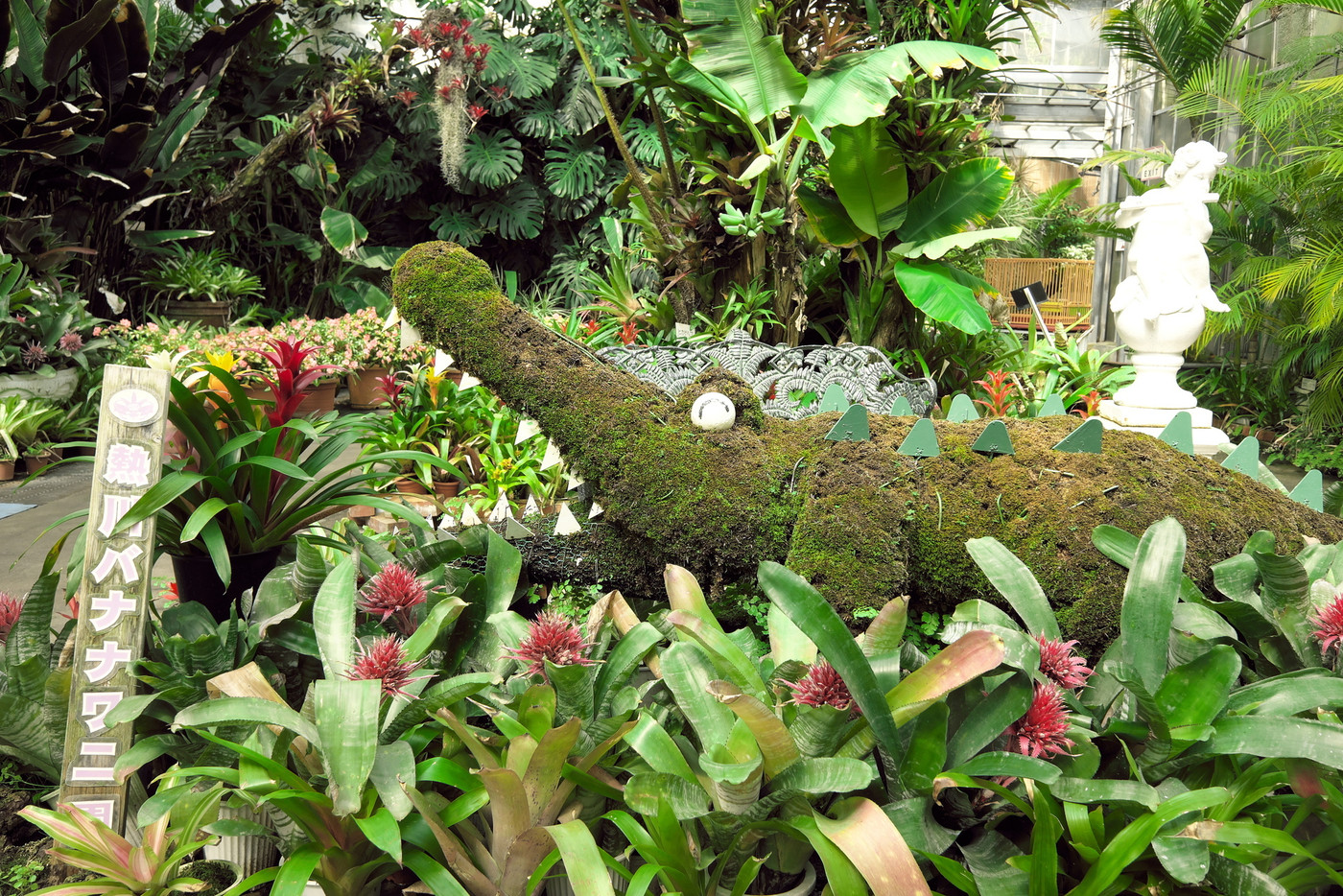熱川バナナワニ園　ブロメリア温室のワニトピアリー