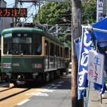 4月・5月・7月・10月は鎌倉・江ノ島周辺で「生しらす」を食べよう！おすすめ10選