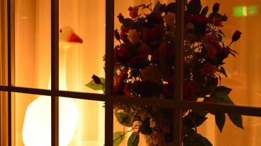 施設内の設備 / 1