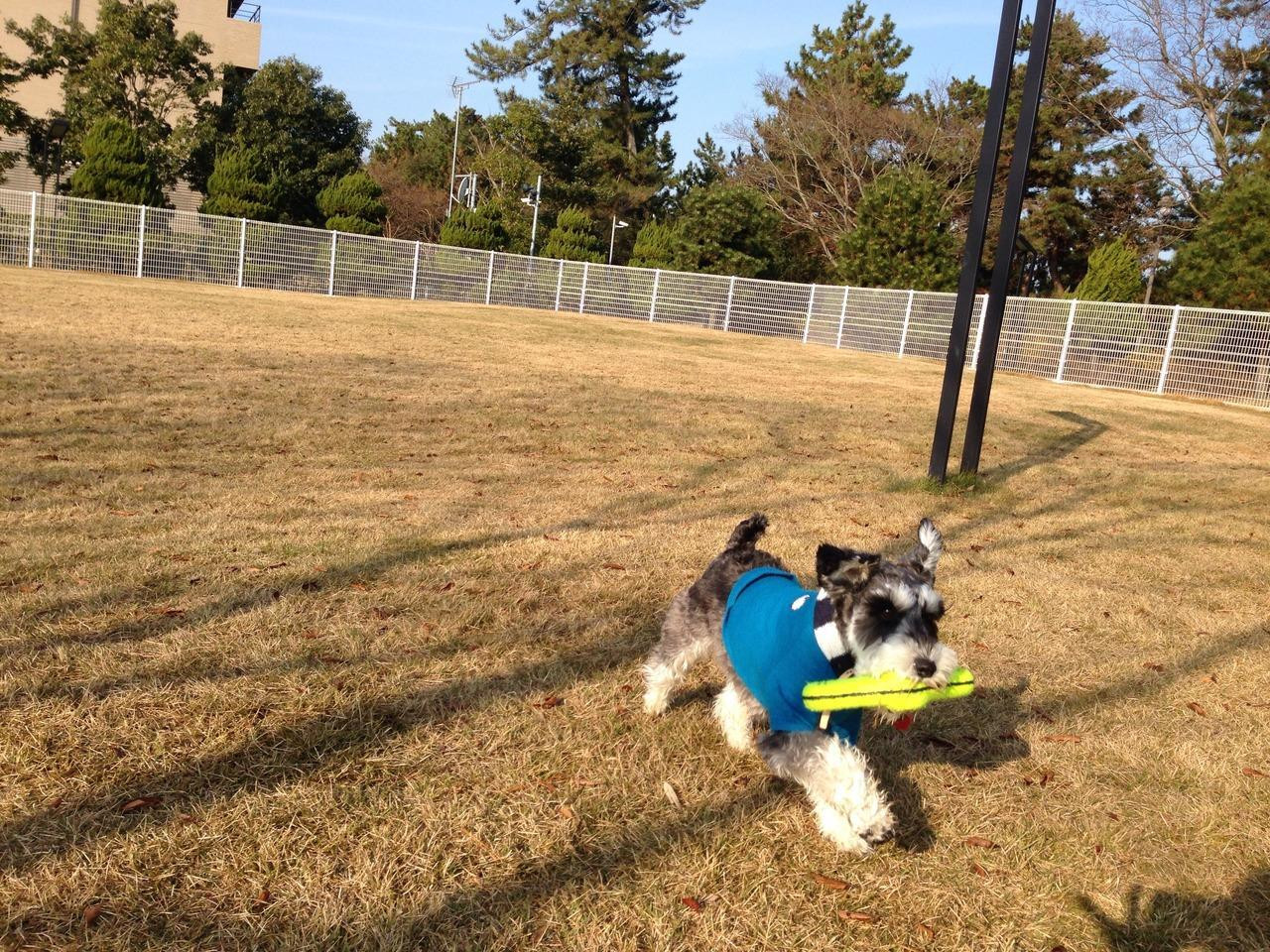 館内はほぼ愛犬同伴OK！ずっと一緒に過ごせるのが嬉しい3927758