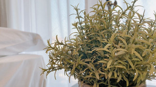 スタジオ バルコニー付 102号室