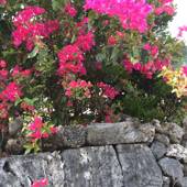 Trip Shot Villas HAMAHIGA（トリップショットヴィラズ ハマヒガ）（沖縄県 別荘・ヴィラ・コンドミニアム） / 2