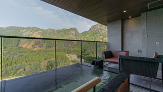 [温泉露天風呂付・別邸 鶯宿和洋室] (セミスイート) [禁煙]