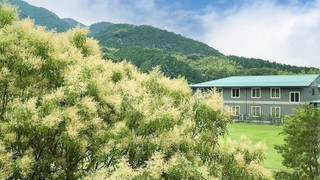 スタンダード和洋室（喫煙）