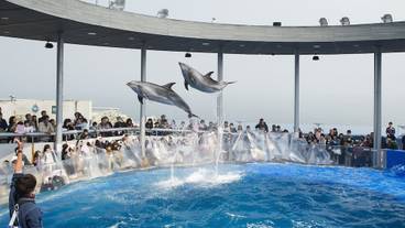 観光スポット / 5