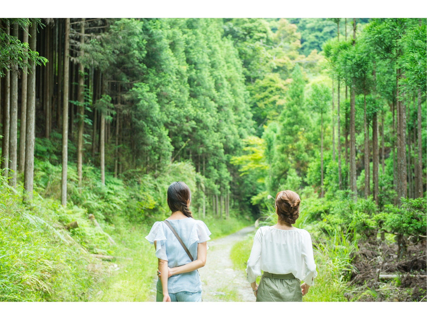 もみぢ家別館 川の庵3409110