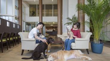 ロビー応接スペース / 6