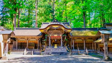 諏訪大社上社本宮の幣拝殿 / 3