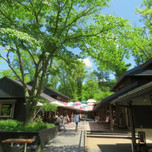 【軽井沢】見る?つくる?買う?アクティブに楽しめる女子旅スポット13選