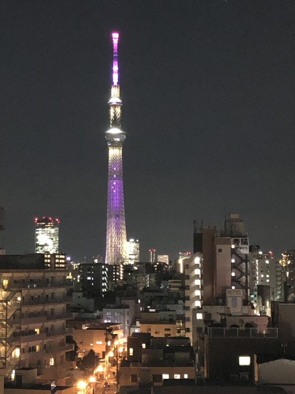 スカイツリーがよく見えます。観光に自転車も貸してくれます。
