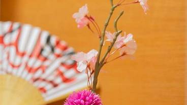 内装の詳細 / 14