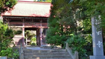 観光スポット / 14