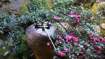 施設からの眺望 / 6