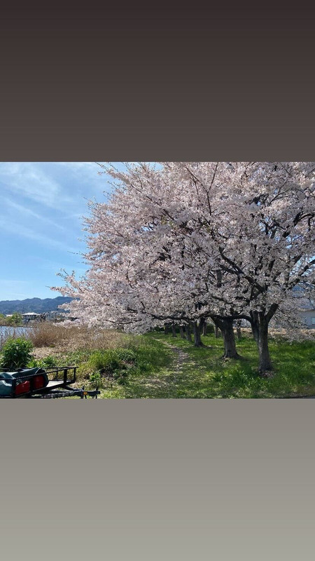 minatoya0711さんの写真 / 1