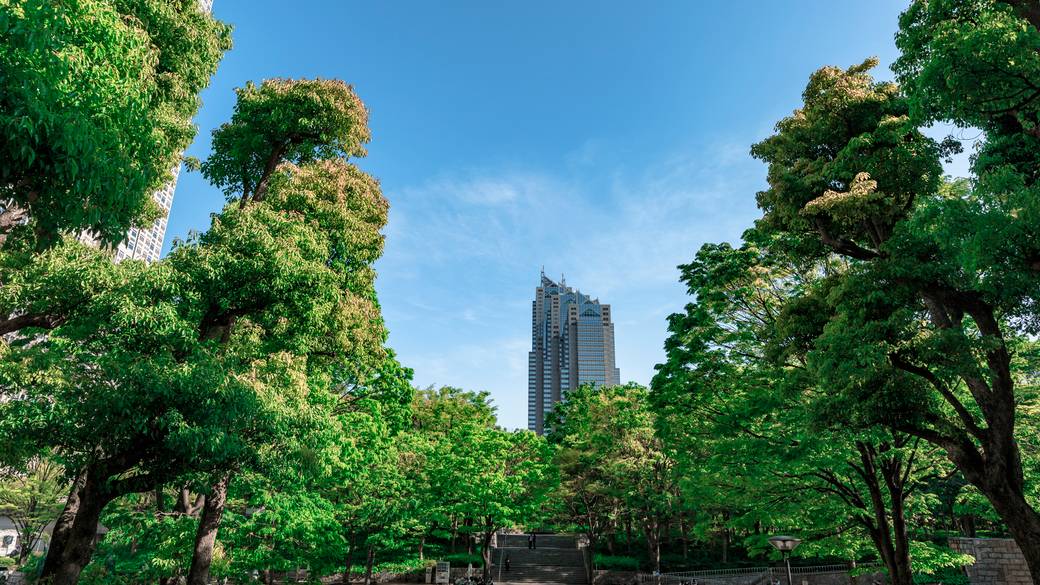 新宿中央公園① / 1