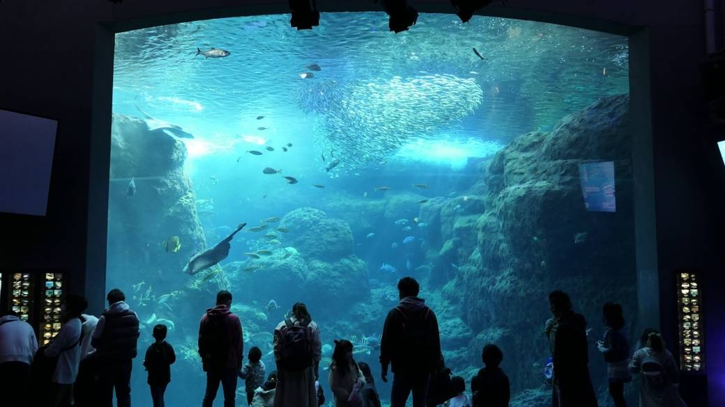 新江ノ島水族館 / 2