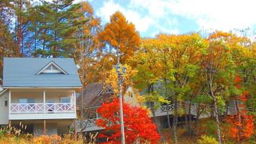 施設の敷地 / 17