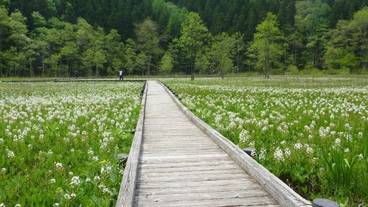 施設の敷地 / 11