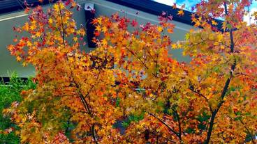 ランド ビュー / 27