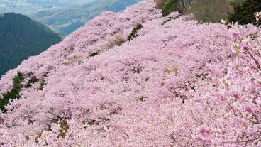 ランド ビュー / 5