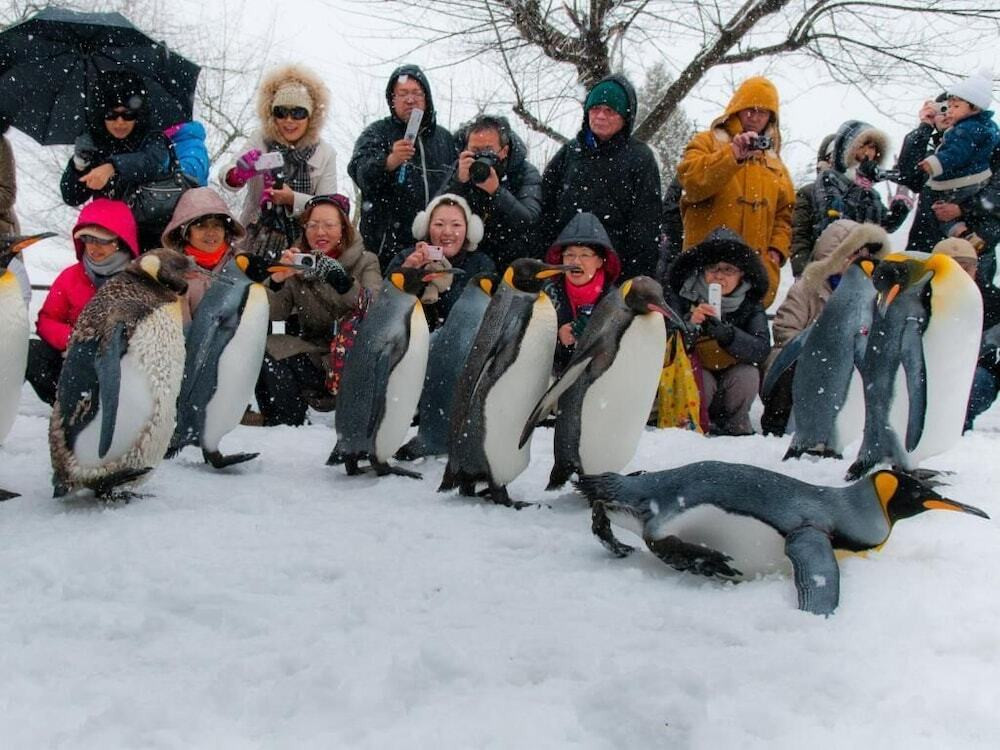 スノー スポーツとスキー