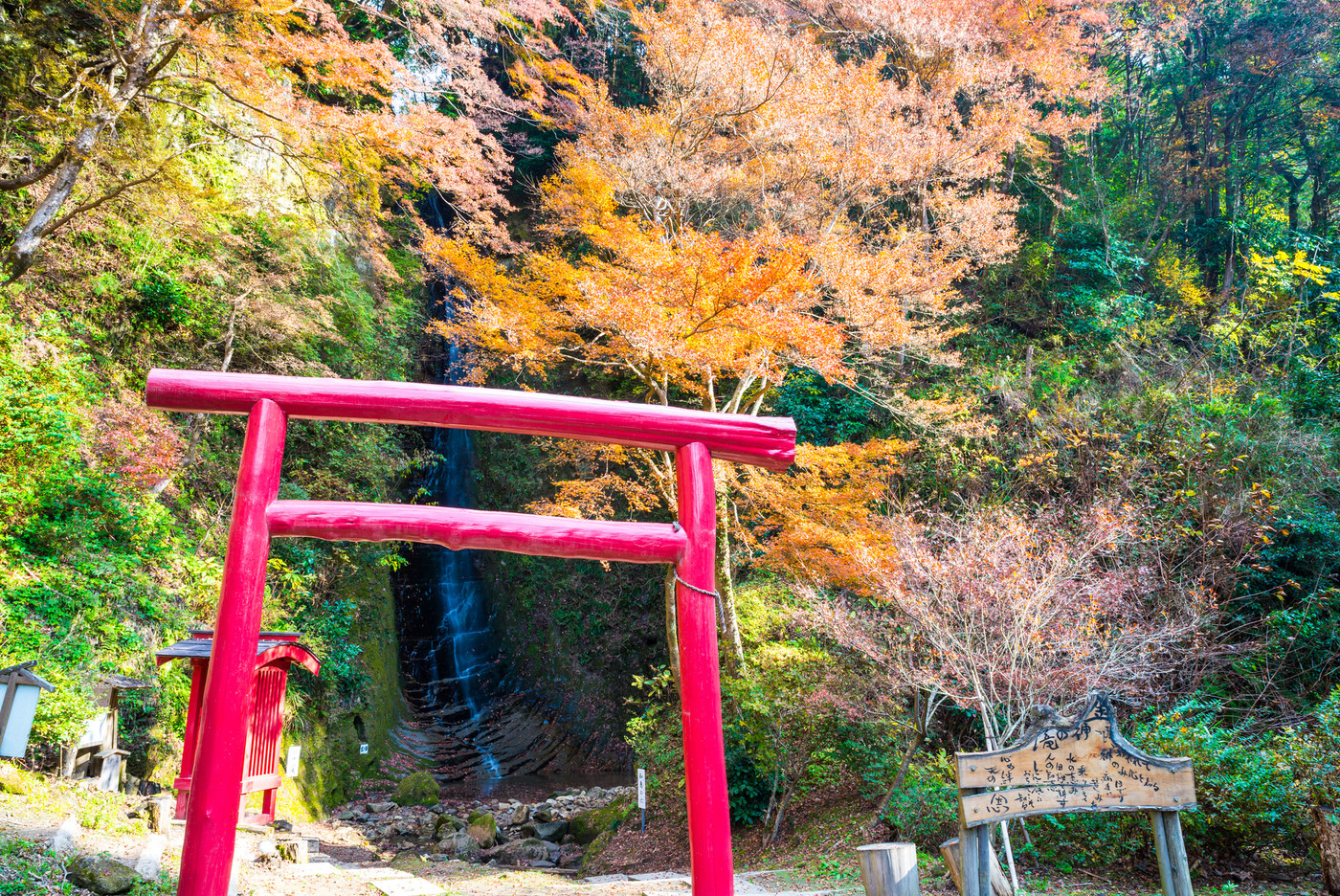 養老渓谷 （金神の滝） 秋