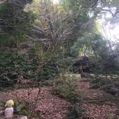 菊池温泉 菊池観光ホテル（BBHホテルグループ）（熊本県 旅館） / 5