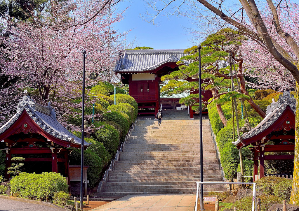 護国寺／護国寺駅14550