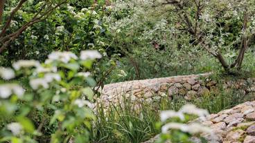 トサノユ 露天風呂から見える庭園 / 3