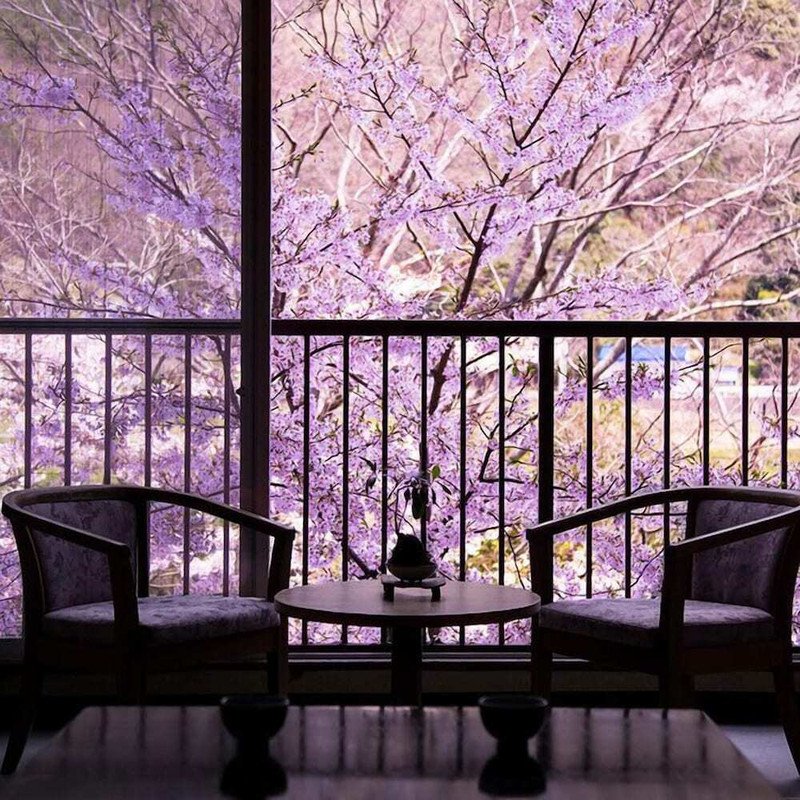 施設からの眺望