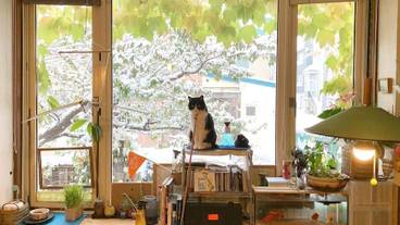 施設内の設備 / 12